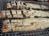 (인천부평구맛집)장어 먹고 힘내봅니다,,,고창선운산풍천장어숯불구이