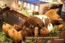 [1박 2일/강원도여행] 설악 대명리조트 내 설악 테디베어 뮤지엄 /테디베어팜 비교