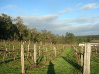 호주워홀이야기] Ive got the job! - 04, 호주에서의 마지막 와인농장 : Donnelly River