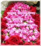 러브갱~♥님의 생일을 축하합니다..