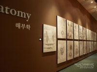 [다빈치전] 봄방학 가볼만한전시 세상을 바꾼 천재, 다빈치전 무한상상과 학습이 가능한곳