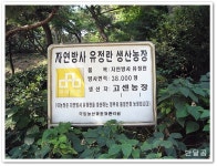 고센농장(남양주시/와부읍/월문리)...방사한 토종닭과 유정란...