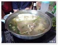 고센농장(남양주시/와부읍/월문리)...방사한 토종닭과 유정란...