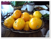 산이마을(제주도/서귀포시)...제주 흑돼지 목살과 생돼지갈비...