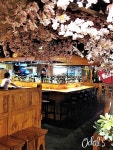 [서울 서초동/ 강남역] 이자카야 미인 - 강남역2호점