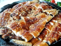 탁 트인 남한강을 바라보며 맛보는 돌판장어구이의 풍미: 경기도 광주 퇴촌 《 남강집 》