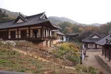 [순천/선암사] 낙엽비 내리는 선암사의 가을풍경 