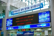 [울릉도] 설레임의 시작, 포항에서 울릉도까지