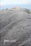소백산 천문대길 눈꽃과 상고대 1