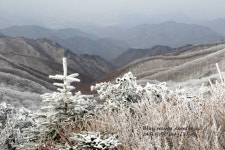 소백산 천문대길 눈꽃과 상고대 1