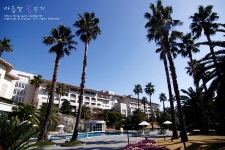 [제주] 신라호텔 / 파아란 하늘아래 더 푸른 물빛, 실외수영장 & 패밀리 자쿠지와 숨비스파