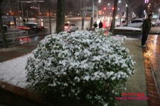 [양재동맛집/포이동맛집]삼호물산 더에스-the s-방문기@@