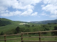 여행하며 사진찍기 좋은곳 best 5 핸드폰사진도 멋지게 나오는곳 한려해상국립공원의 외도/춘천중도/대관령목장