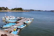 [안면도]펜션과 가까운 영목항으로 신선한 해산물과 회먹으러 다녀왔어요.^^