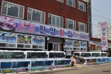 울산 북구 정자동 맛있는 가자미회,매운탕  한양횟집 