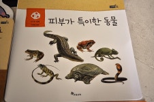 신기한 아기나라 7-8주차 복습과 9-10주차 수업