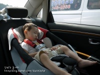 [진주수목원] 깊어지는 가을이 더 기대되는 진주수목원~