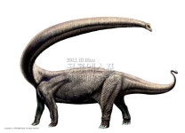 [하이디노 공룡 엑스포] 어린이체험 학습 가볼만한 하이디노 공룡 엑스포~ 기대되는 체험학습이네요.