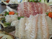 (강원 삼척맛집) 자연산회로 즐거움을 달랠 수 있는 횟집,,,새천년횟집