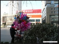 중국에 머물다 - 동원공원