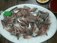 회먹으러왔어요