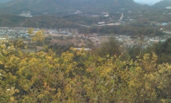 춘천 금병산에서