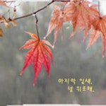 자작4교(상) | ▒ 마지막 잎새 널 위로해..[자작]