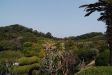 [거제도여행][거제도펜션추천] 외도 해금강~핀란드빌리지~