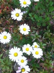 내 몸을 깨우는 초간단 스트레칭!