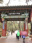 [경기도 양평군 용문면/용문역] 용문토박이집 - 안동산마,횡성더덕판매, 지평막걸리에 산마 안주! -> 용문산 산행