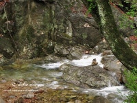 [경기도 양평군 용문면/용문역] 용문토박이집 - 안동산마,횡성더덕판매, 지평막걸리에 산마 안주! -> 용문산 산행 