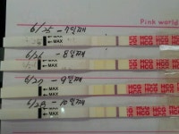 이식 7일째부터 한건데