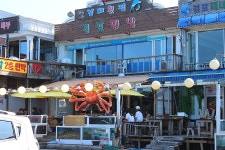 경포대 맛집 경포대 횟집 경해