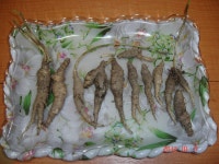 @ 산 더 덕 @ ~~~~~~~~