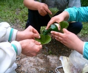 술잔 대용으로 딱이야