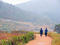 청산도여행 슬로길1코스 서편제길