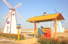 나를 연주해 주세요. 대부바다향기테마파크