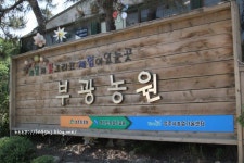 서울근교 캠핑장.. 가까워서 좋다!
