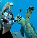 거북이의 흉포함