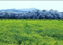 인생 ...밭농사♥