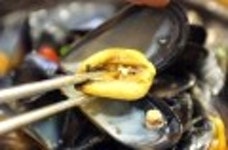 [명동맛집/명동 알쌈 쭈꾸미 vs 최씨 아저씨 부대찌개] 매콤한 쭈꾸미로 봄 입맛 찾아왔어요!