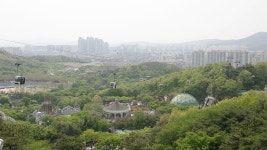 대구 가볼만한 곳 추천 - 이월드 (어린이날 행사,플라워가든)