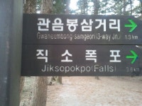 자넨 자연을 소중히 하지 않았지