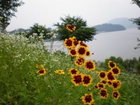 내 마음의 힐링~♬