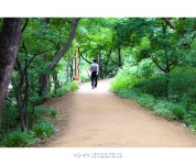혼자떠나는여행/달성공원 동물원 - 대구가볼만한곳