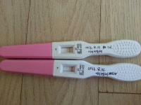 이식5일째