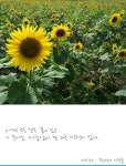 예쁘니까;설렘.쏭# | 새로운 설렘...