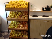 판교맛집_에쎄레 : 판교 아비뉴프랑 착한 아이스크림_수제 젤라또 에쎄레ESSERE