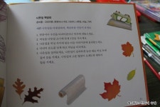 [사랑이의 과학놀이]통합교과 가을2. 나뭇잎으로 연계된 다양한 책과 방과후 과학교실 수업 