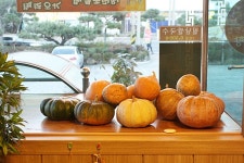 장사동 맛집,속초맛집추천 장사항찜 